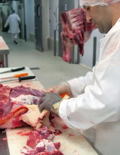 Επεξεργασία / μεταποίηση