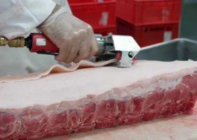 Επεξεργασία / μεταποίηση