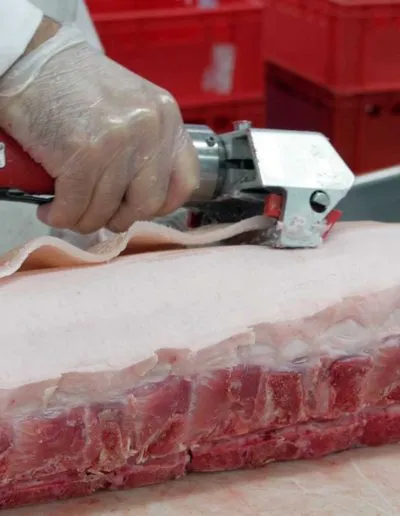 Επεξεργασία / μεταποίηση