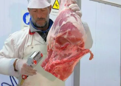 Επεξεργασία / μεταποίηση