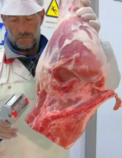 Επεξεργασία / μεταποίηση