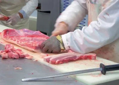 Επεξεργασία / μεταποίηση