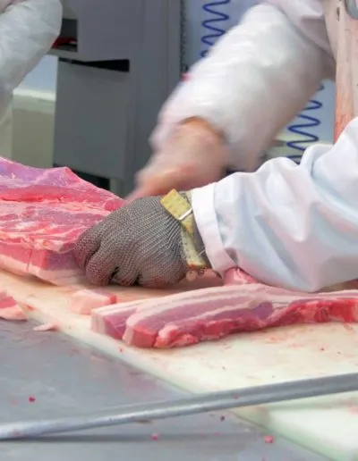 Επεξεργασία / μεταποίηση