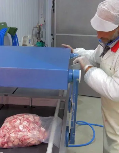 Επεξεργασία / μεταποίηση