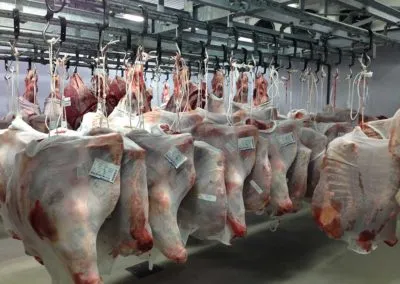 Θάλαμος ψύξης