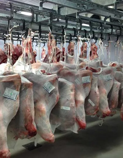 Θάλαμος ψύξης