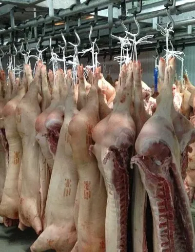 Θάλαμος ψύξης