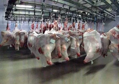 Θάλαμος ψύξης