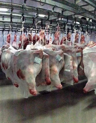 Θάλαμος ψύξης